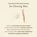 I’M FROM Rice Toner Pad – Pads Toner Hydratants au Riz | Skincare Coréen Peau Éclatante – Image 6