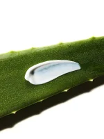 COSRX Aloe Soothing Sun Cream SPF50+ PA+++ | Écran Solaire Hydratant & Apaisant | Skincare Coréen – Image 5