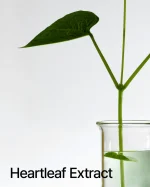 Anua – Heartleaf 77% Soothing Toner | Tonique Apaisant Skincare Coréen Peau Sensible – Image 2