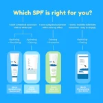 ROUND LAB - Birch Moisturizing Sunscreen SPF 50+, PA++++ – Image 4