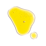 100% Organic Cold-Pressed Rose Hip Seed Oil – Image 3